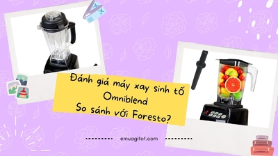 Đánh giá máy xay sinh tố Omniblend, so sánh với Foresto?