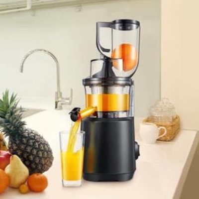 Máy ép chậm Gesun G500