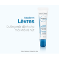Son dưỡng Bioderma Atoderm Levres Baume