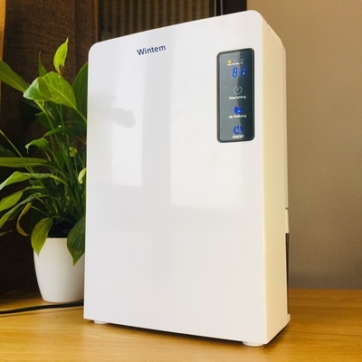 Máy hút ẩm mini Wintem DH2200