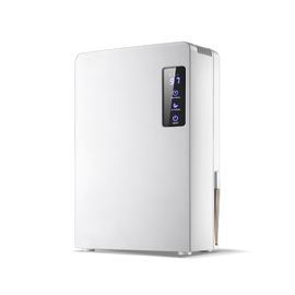 Máy hút ẩm mini Wintem DH2200