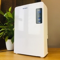 Máy hút ẩm mini Wintem DH2200