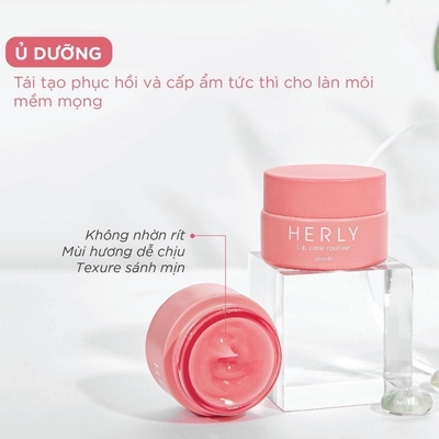 Bộ chu trình dưỡng môi HERLY Lip Care Routine