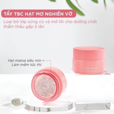 Bộ chu trình dưỡng môi HERLY Lip Care Routine