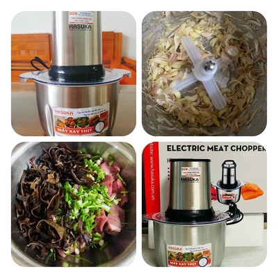 Máy xay thịt Hasuka HSK-123