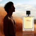 Nước hoa nam Terre D'Hermes Eau de Toilette