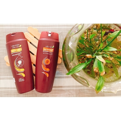 Dầu gội trị gàu Thái Dương 7