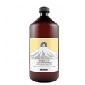 Dầu gội Davines Naturaltech Purifying