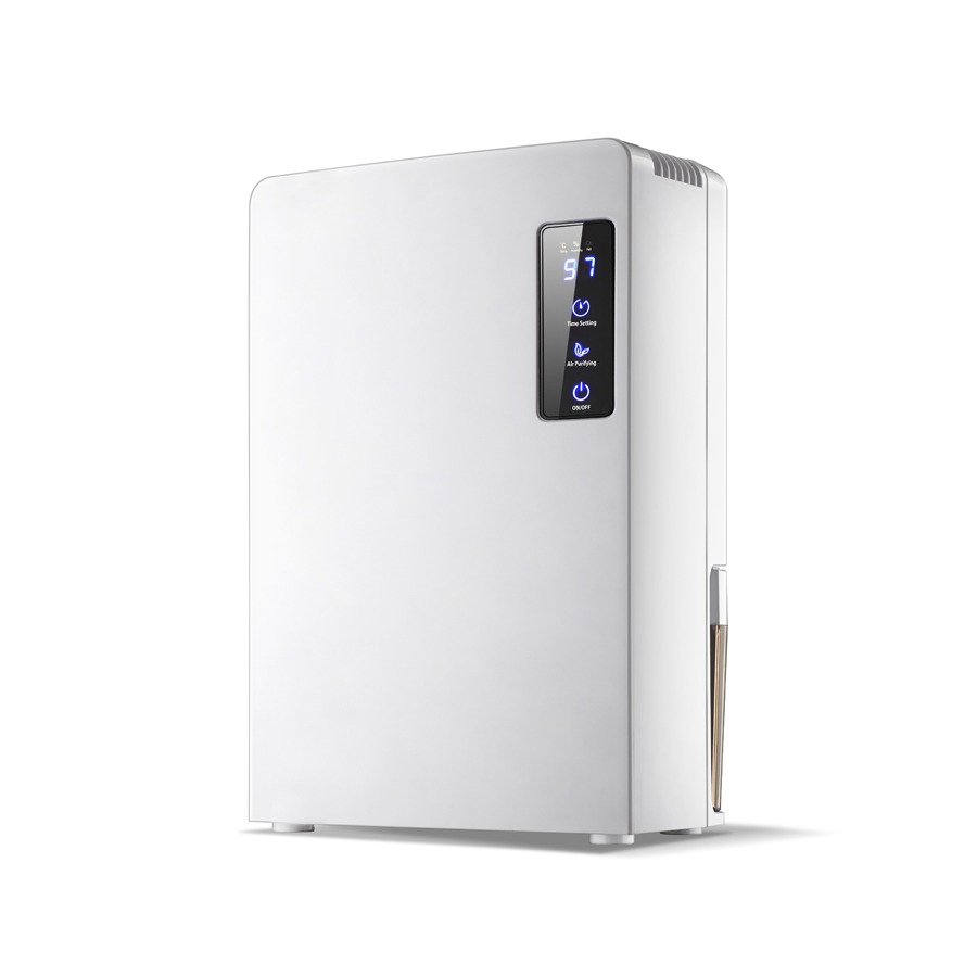 Máy hút ẩm mini Wintem DH2200