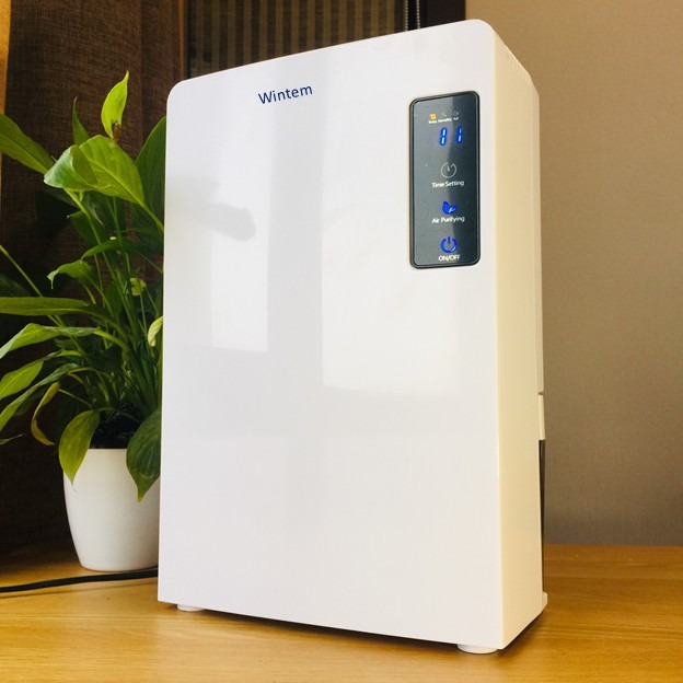 máy hút ẩm mini Wintem DH2200