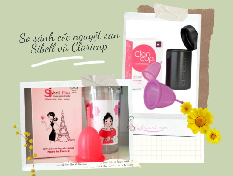 cốc nguyệt san sibell