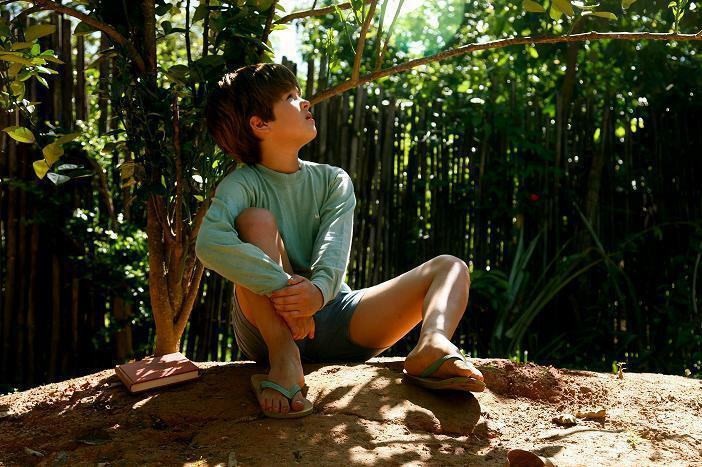 Cây Cam Ngọt Của Tôi