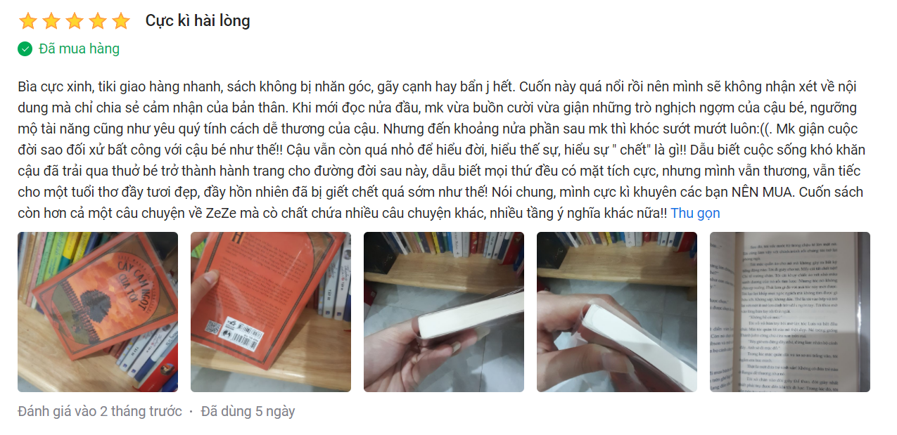 Cây Cam Ngọt Của Tôi