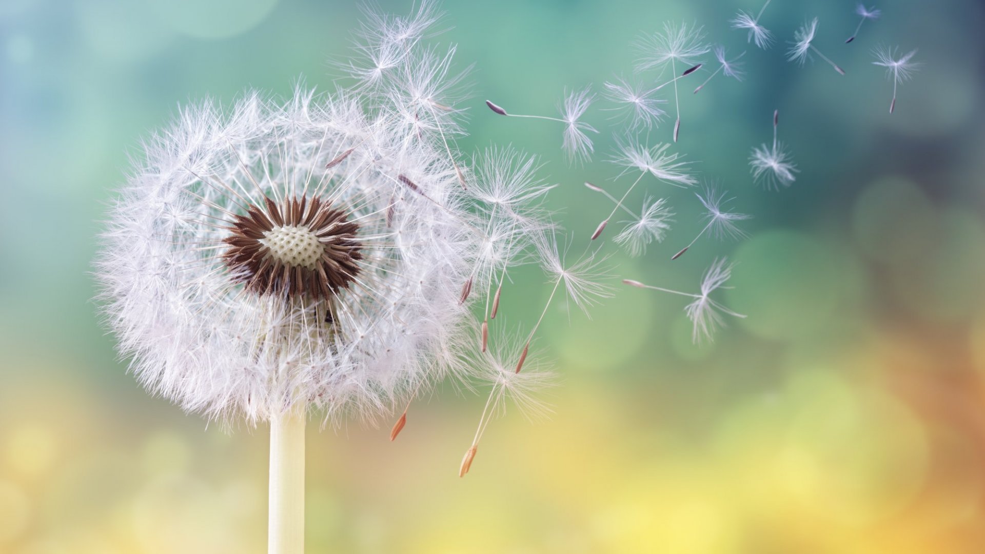 Status tiếng Anh về cuộc sống