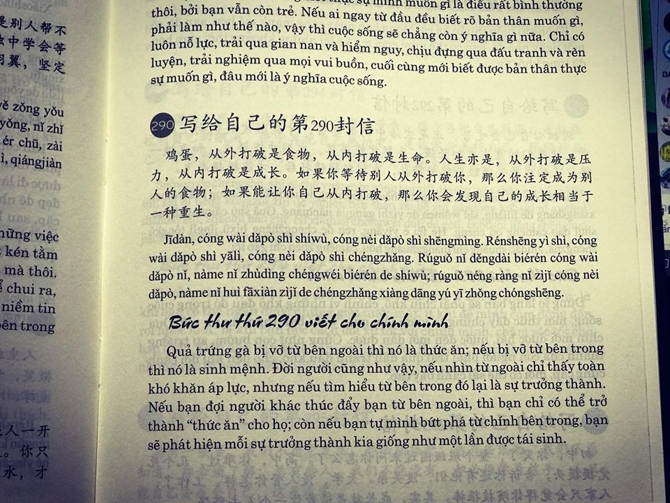 999 lá thư gửi cho chính mình song ngữ