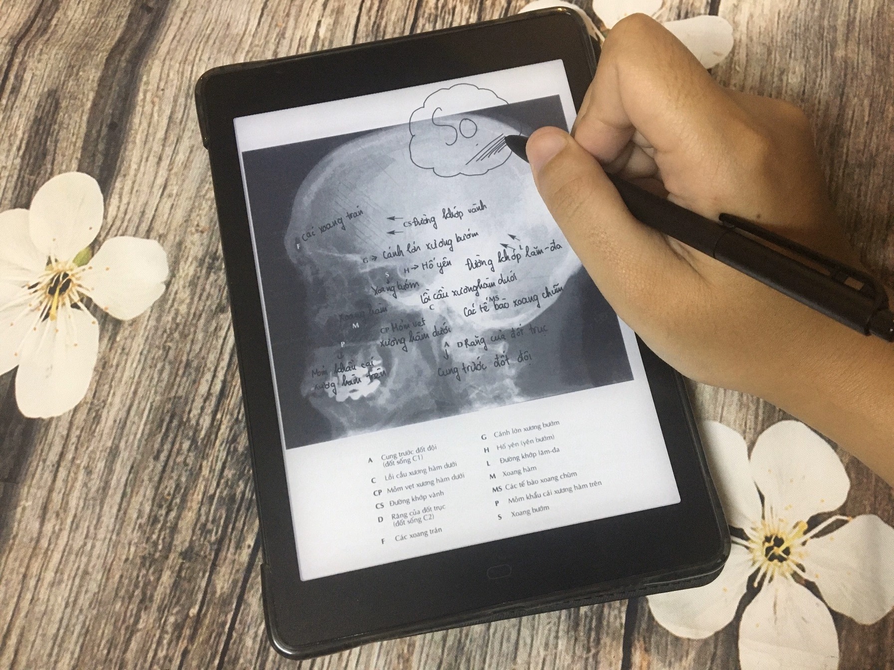 Review Likebook Mars