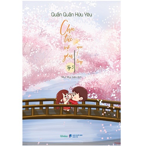 Tiểu thuyết lãng mạn Trung Quốc