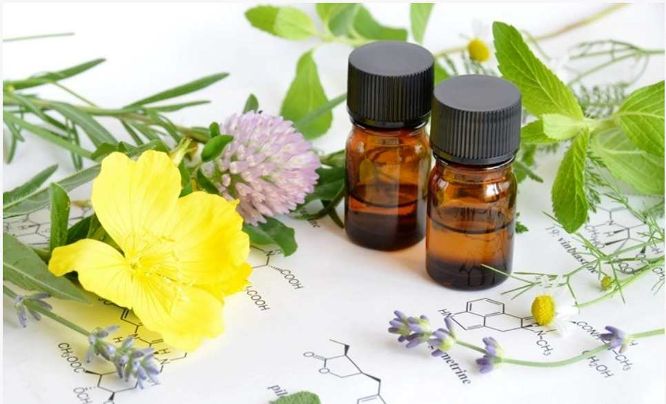 Ai nên sử dụng tinh dầu hoa anh thảo