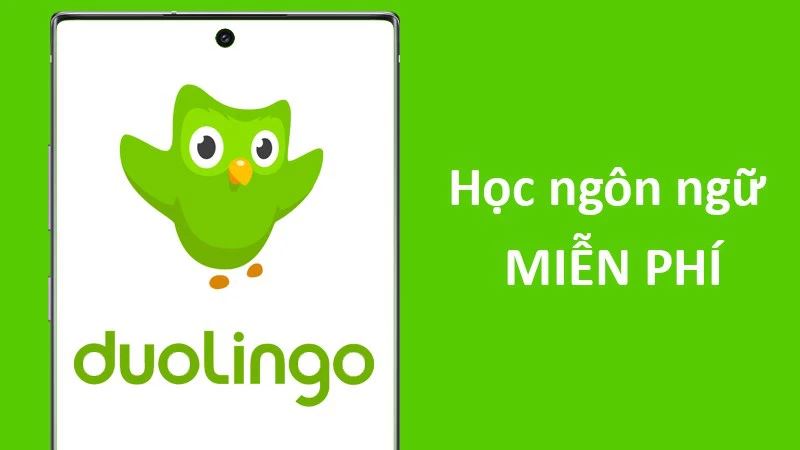 Ứng dụng học tiếng Hàn Duolingo