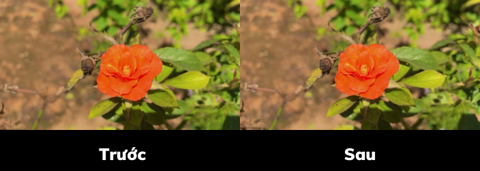 Cách đăng hình lên Facebook không bị bể