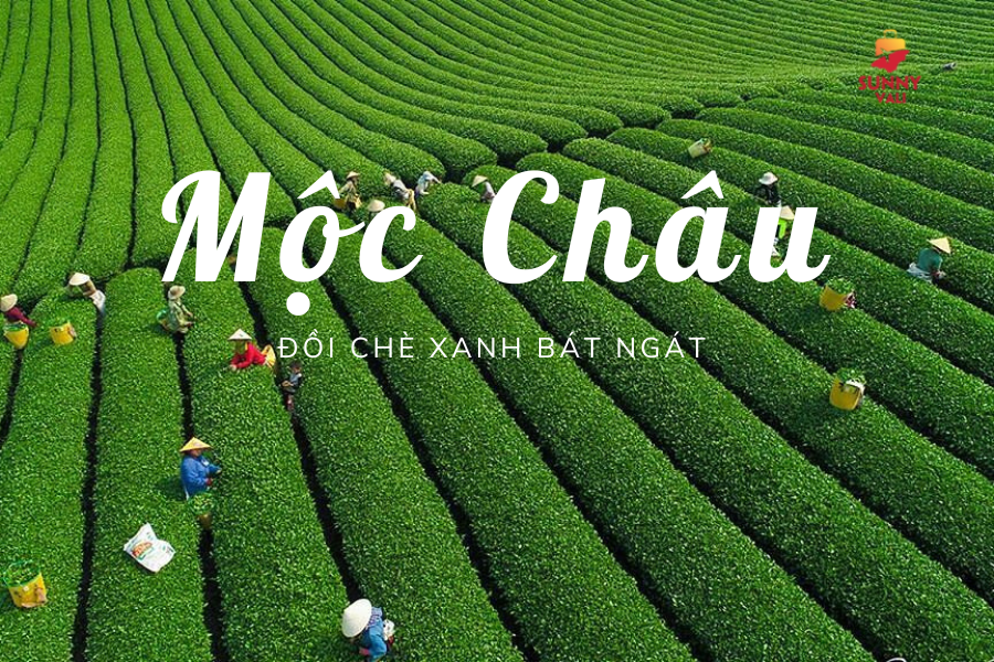 du lịch Mộc Châu